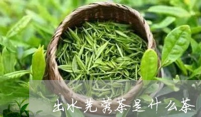 出水芙蓉茶是什么茶/2023041563847