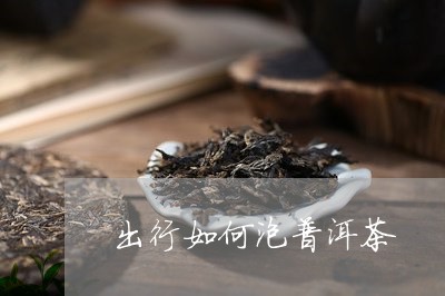 出行如何泡普洱茶/2023040930393