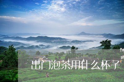 出门泡茶用什么杯子/2023041681727