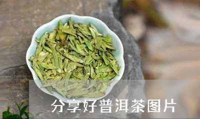 分享好普洱茶图片/2023040953806