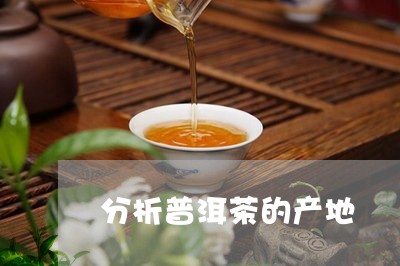 分析普洱茶的产地/2023033095157