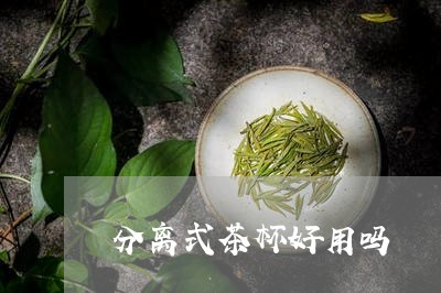 分离式茶杯好用吗/2023032490848