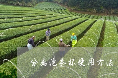 分离泡茶杯使用方法/2023041682513