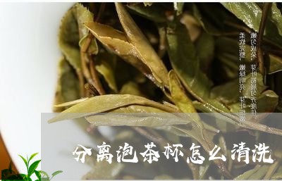 分离泡茶杯怎么清洗/2023041616070