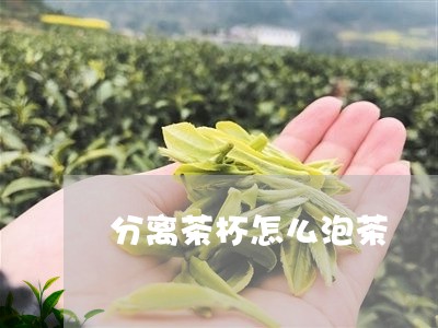 分离茶杯怎么泡茶/2023032421403