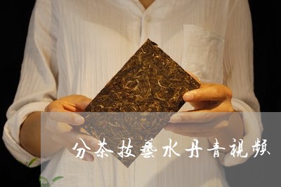 分茶技艺水丹青视频/2023031943839