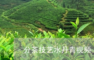 分茶技艺水丹青视频/2023041532737