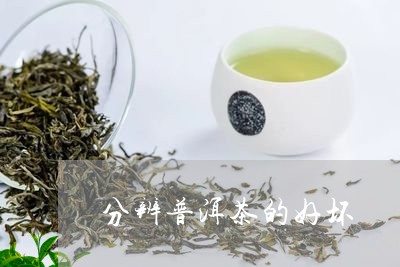 分辨普洱茶的好坏/2023041227692