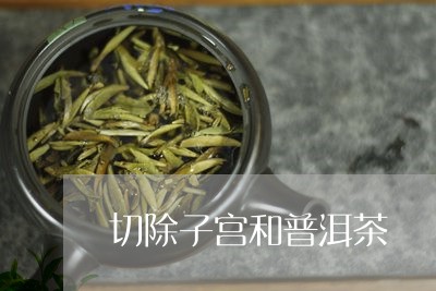 切除子宫和普洱茶/2023041073739