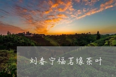 刘春宁福茗缘茶叶/2023032759825