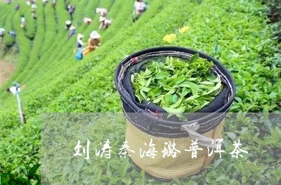 刘涛秦海璐普洱茶/2023041122624