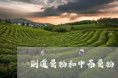 则道曼松和中茶曼松/2023031816150