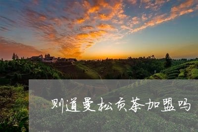 则道曼松贡茶加盟吗/2023031800804