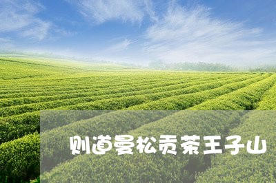 则道曼松贡茶王子山/2023041516343