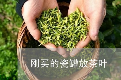 刚买的瓷罐放茶叶/2023032665060