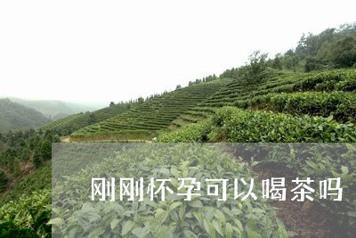 刚刚怀孕可以喝茶吗/2023041649592