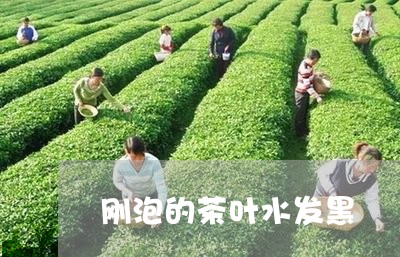 刚泡的茶叶水发黑/2023032695170