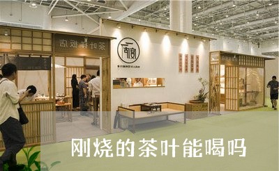 刚烧的茶叶能喝吗/2023032682927