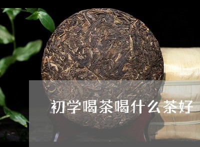 初学喝茶喝什么茶好/2023041687047