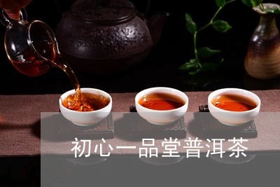 初心一品堂普洱茶/2023033010484