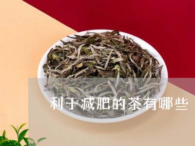 利于减肥的茶有哪些/2023032049572