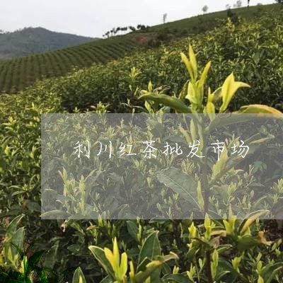 利川红茶批发市场/2023032363823