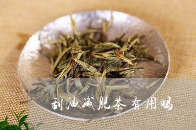 刮油减肥茶有用吗/2023032494815