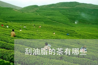 刮油脂的茶有哪些/2023032461037