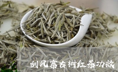 刮风寨古树红茶功效/2023032118493