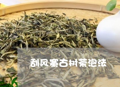 刮风寨古树茶泡法/2023032646048