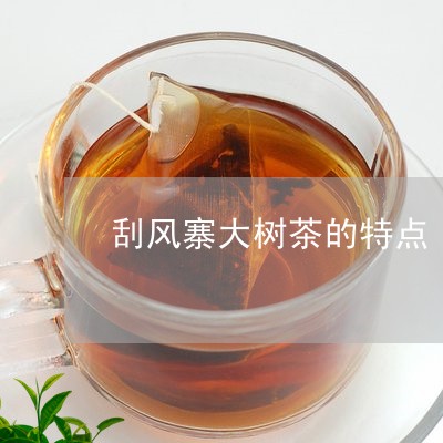 刮风寨大树茶的特点/2023032283805