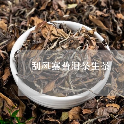 刮风寨普洱茶生茶/2023041327169