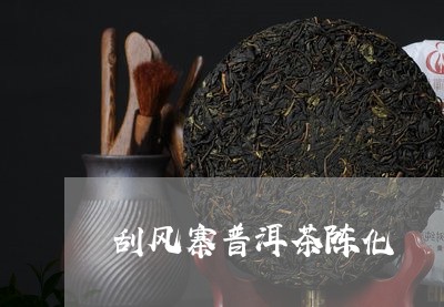 刮风寨普洱茶陈化/2023041201715