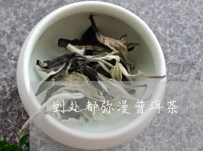 到处都弥漫普洱茶/2023031659471