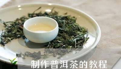 制作普洱茶的教程/2023031611626