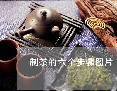 制茶的六个步骤图片/2023041635130