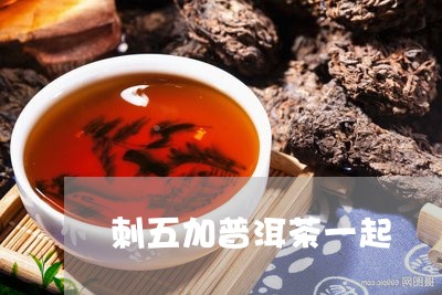 刺五加普洱茶一起/2023033079404