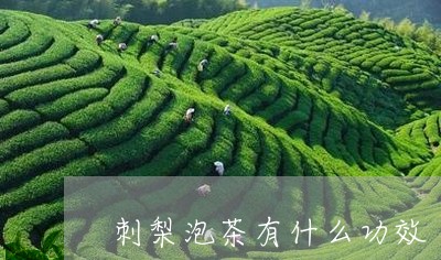 刺梨泡茶有什么功效/2023032051715