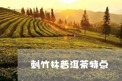 刺竹林普洱茶特点/2023041309481