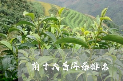 前十大普洱茶排名/2023033162917