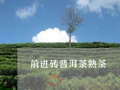 前进砖普洱茶熟茶/2023041199593