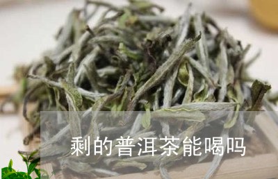 剩的普洱茶能喝吗/2023033130693