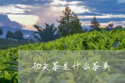 功夫茶是什么茶类/2023032429590