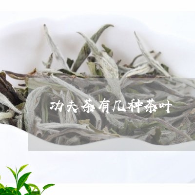 功夫茶有几种茶叶/2023032633793