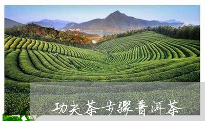 功夫茶步骤普洱茶/2023031632604