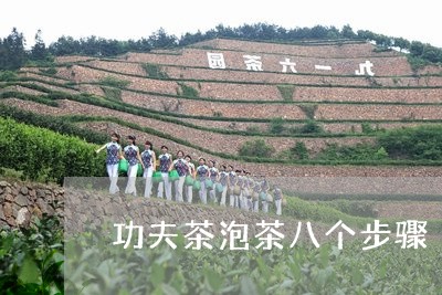 功夫茶泡茶八个步骤/2023041616159