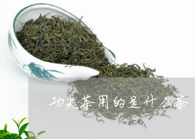 功夫茶用的是什么茶/2023032058360