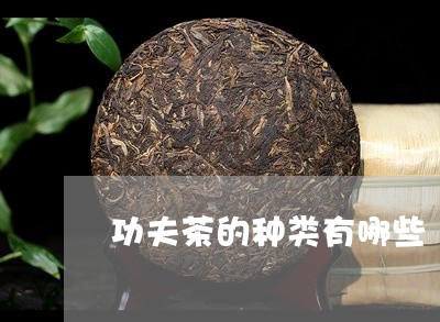 功夫茶的种类有哪些/2023041725159