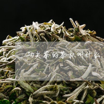 功夫茶的茶杯叫什么/2023041738382