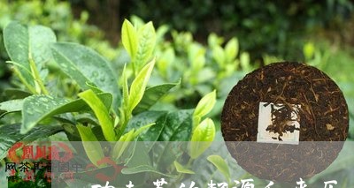 功夫茶的起源和来历/2023041605259